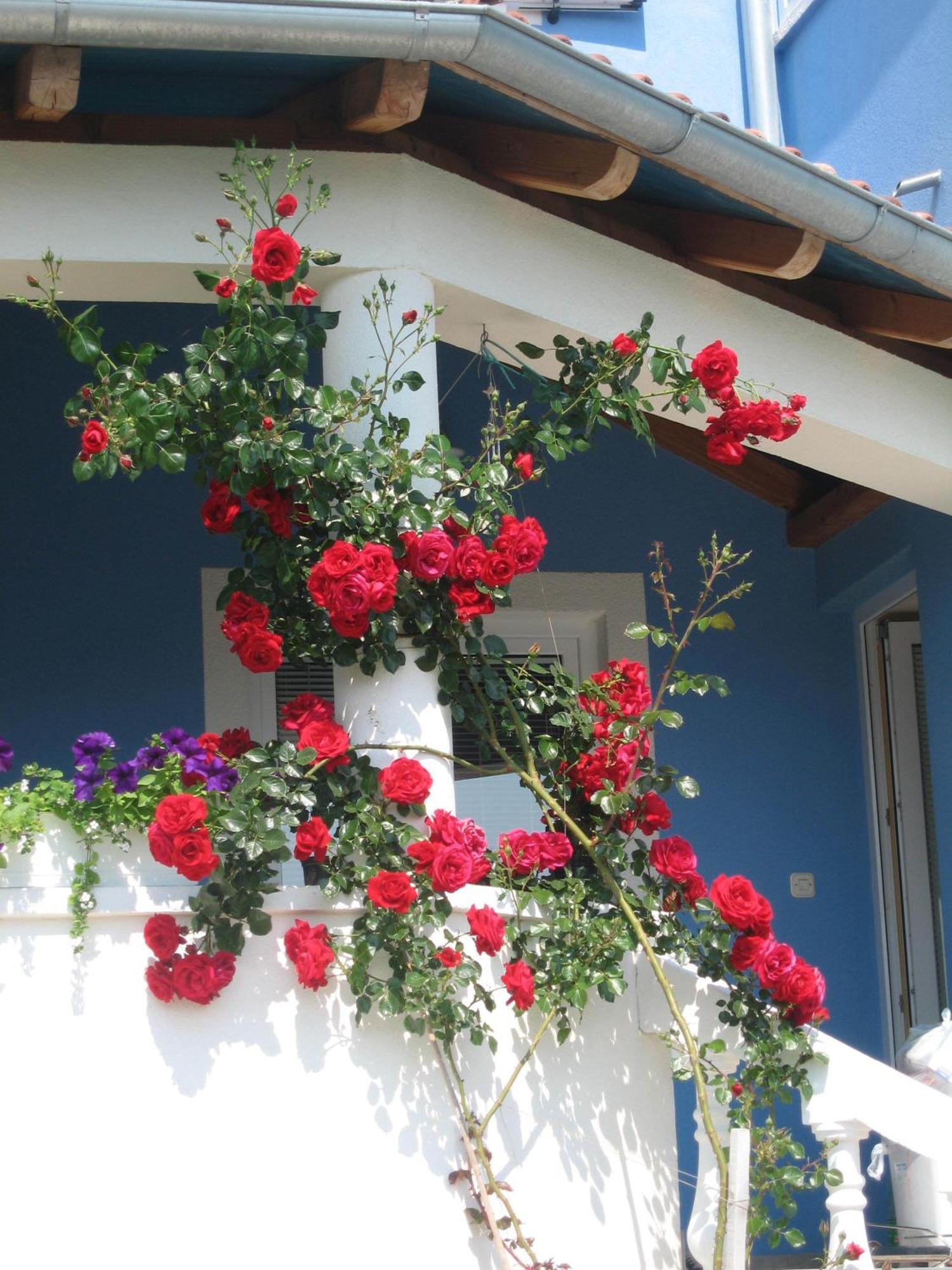 Luton Apartment Zadar Kozino Heating Pool & Jacuzzi 외부 사진